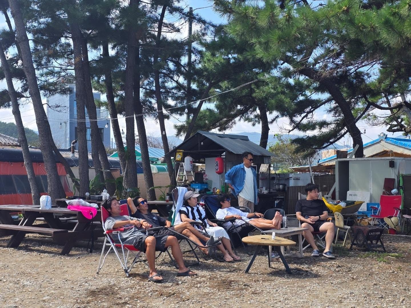 소나무 그늘 아래 캠핑 의자에 앉아 쉬는 투어 일행